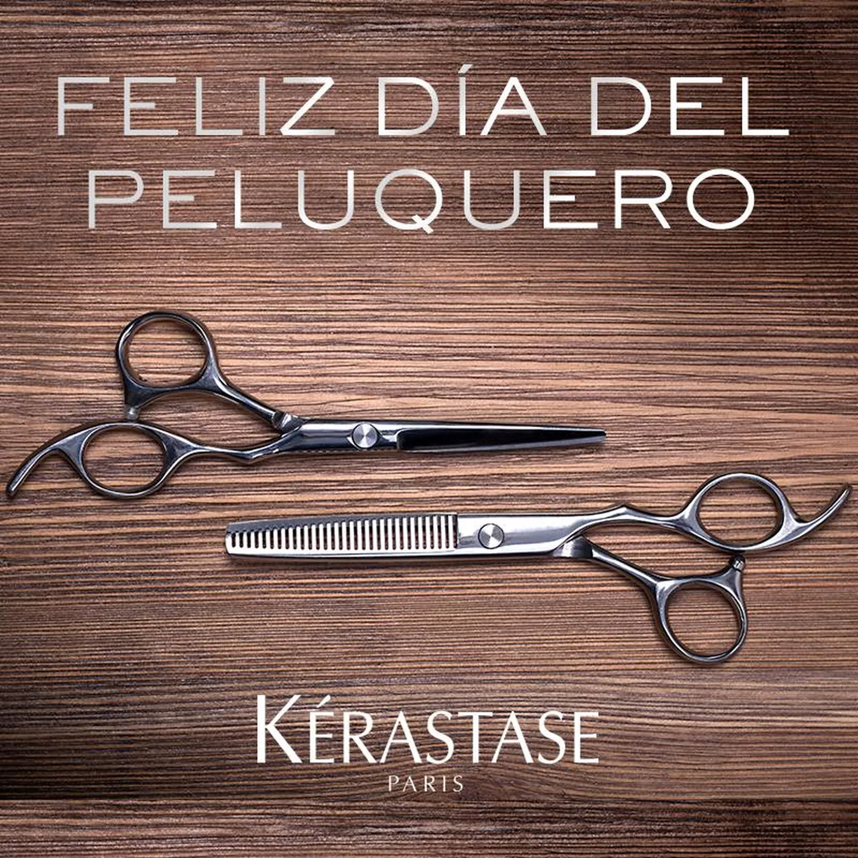 DOMUS-VI-QUIJORNA-DIA-PELUQUERO.jpg
