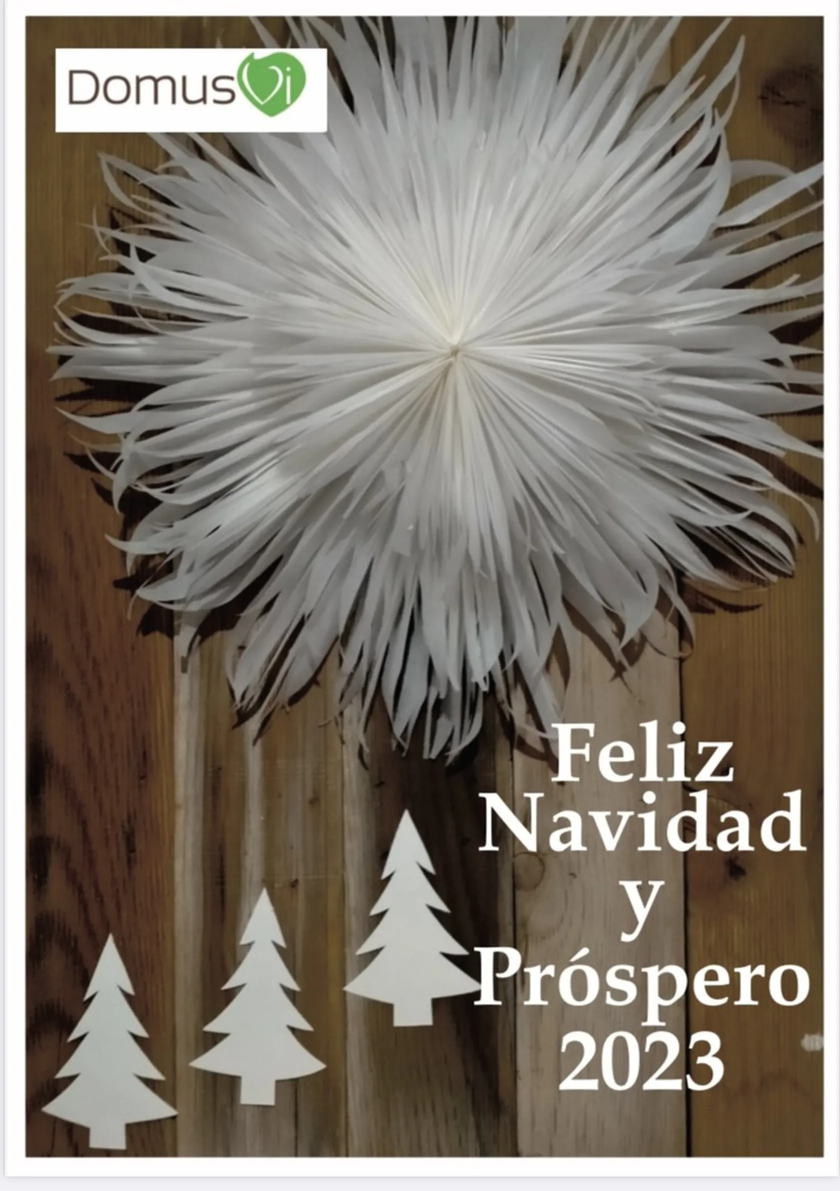 Postal-Navidena.jpg