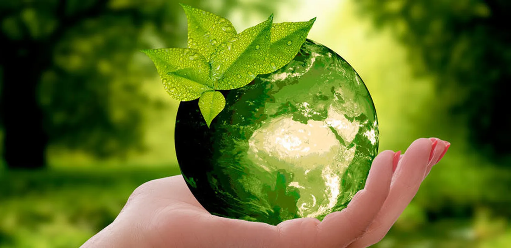 Dia-Mundial-del-Medio-Ambiente-823x400-1.jpg