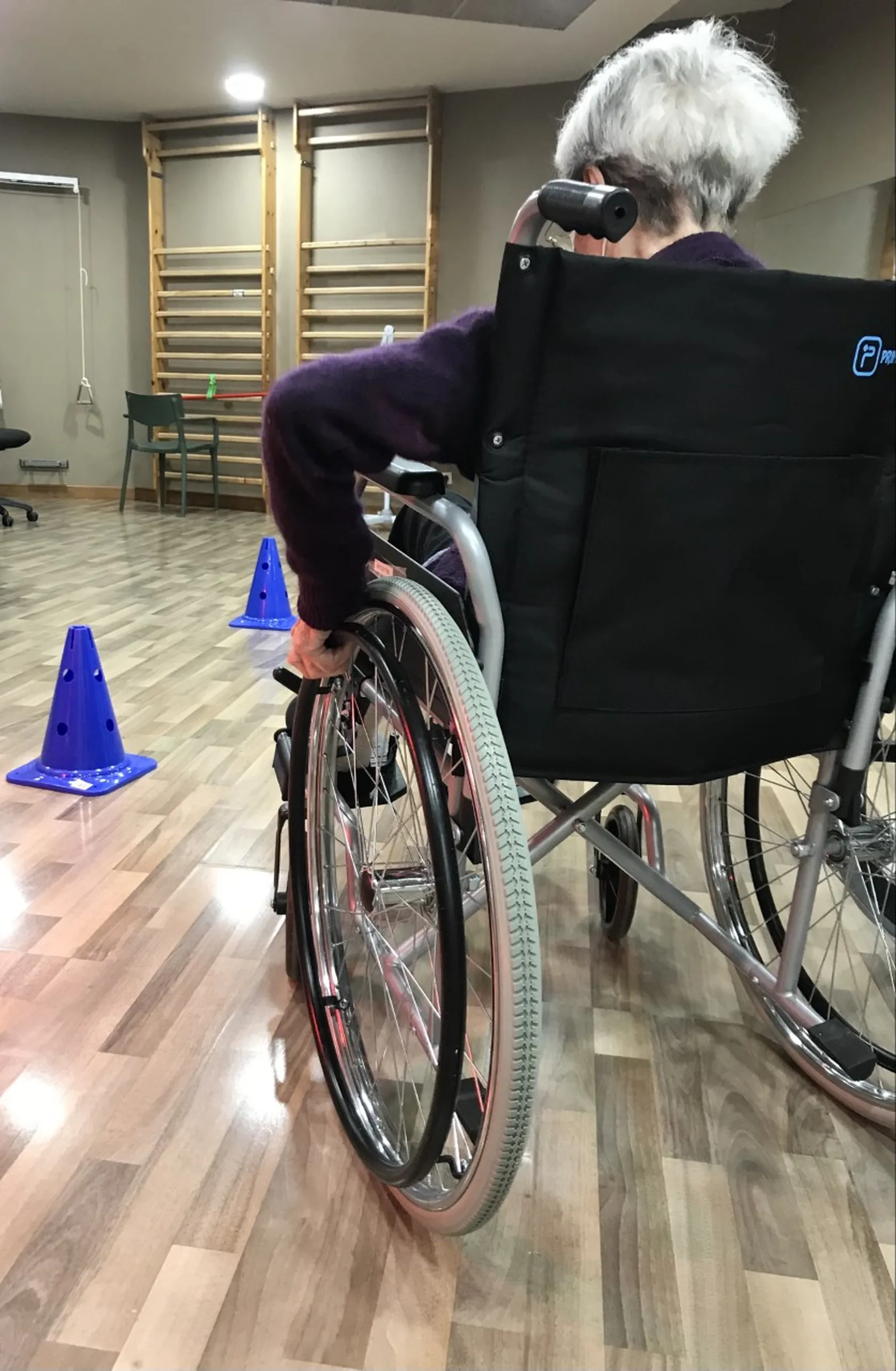 silla-de-ruedas-2.png