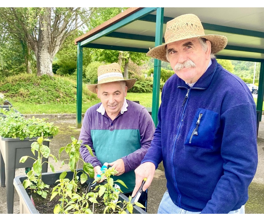 15052024181331SSS_DomusVi Ribadumia Horta (2).png