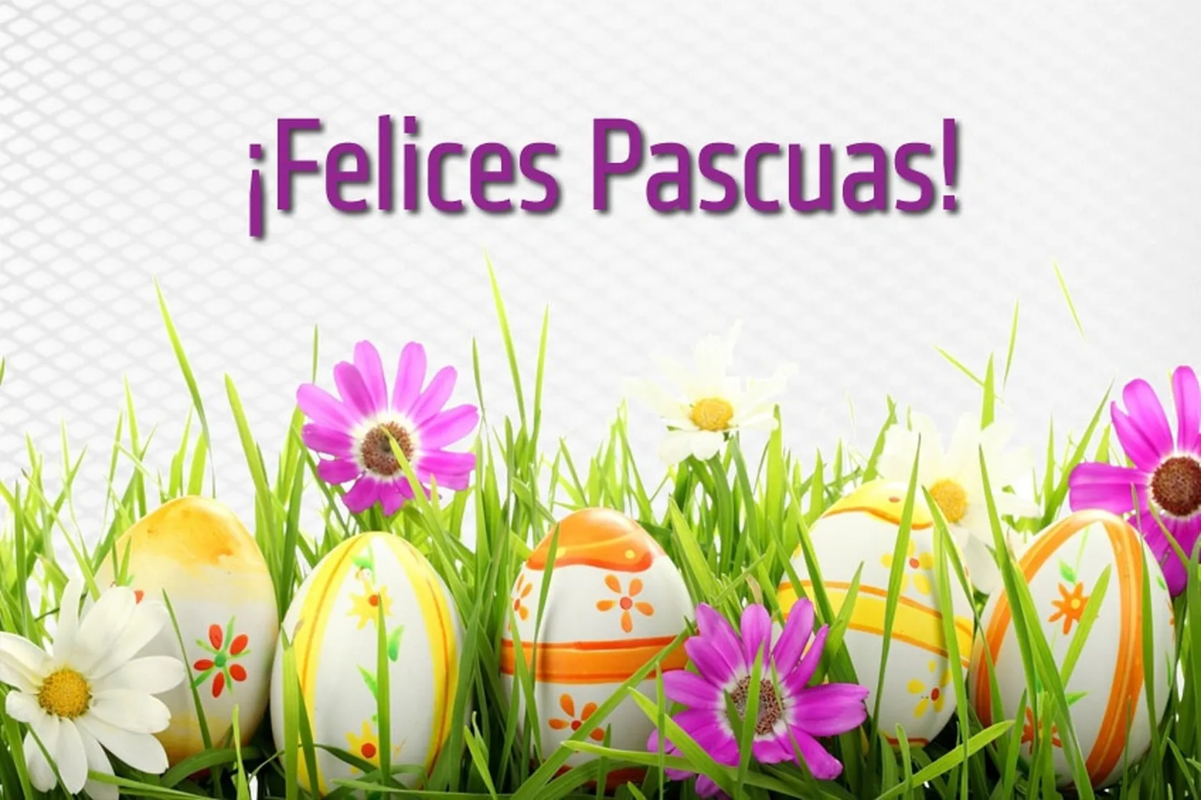 felices-pascuas2.jpg