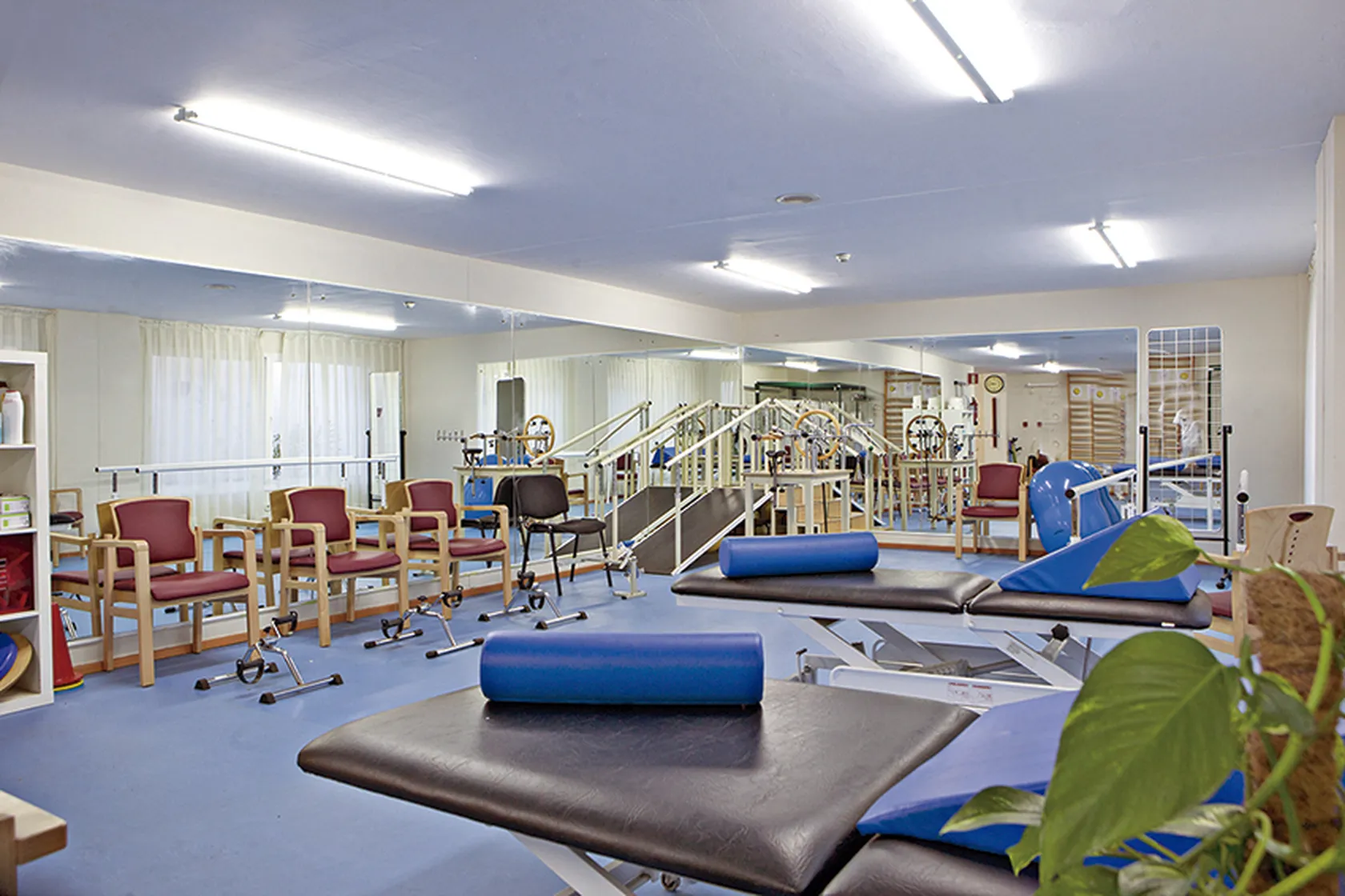 gimnasio-azalea.jpg