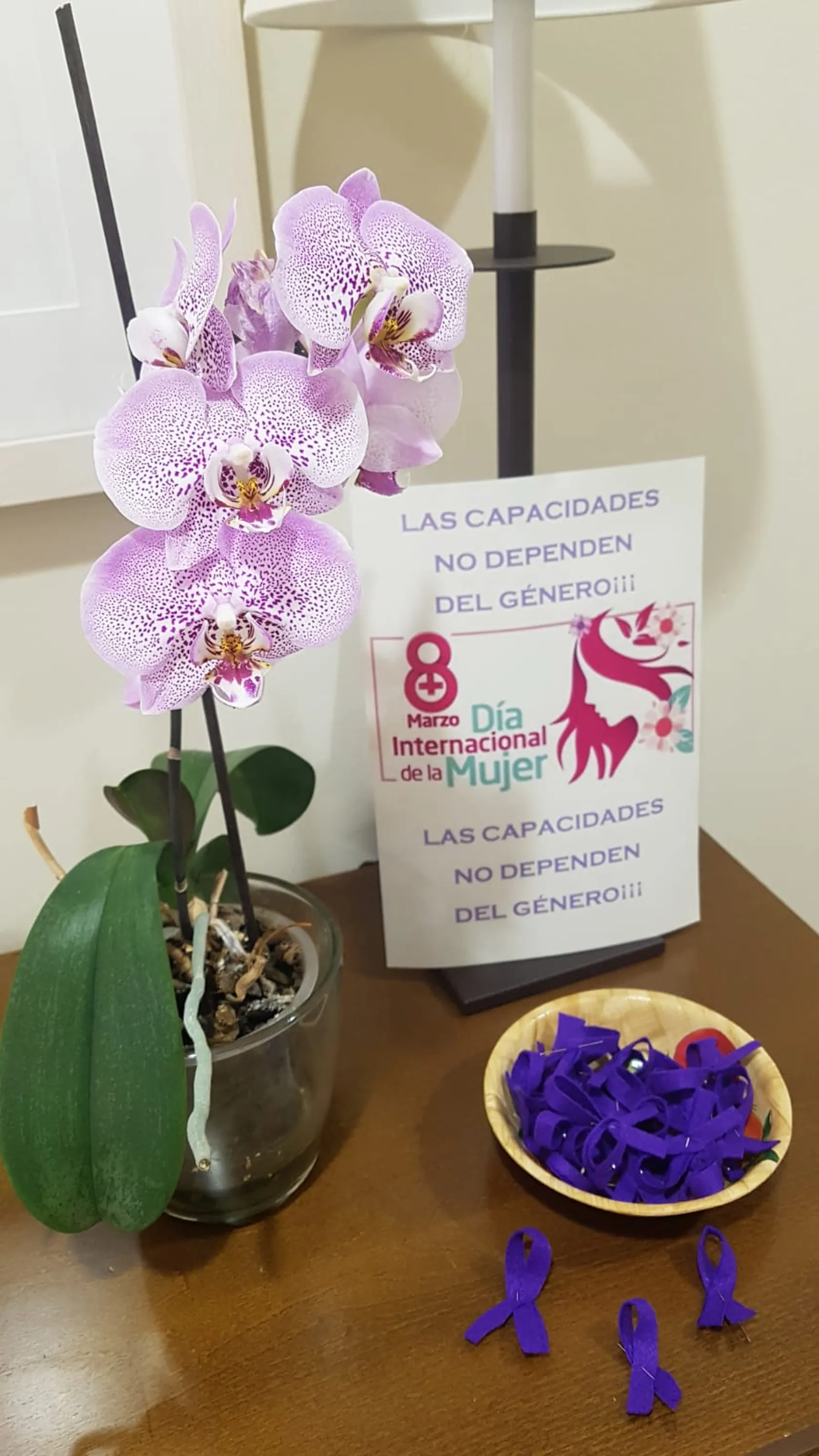 Dia-Mujer.jpeg