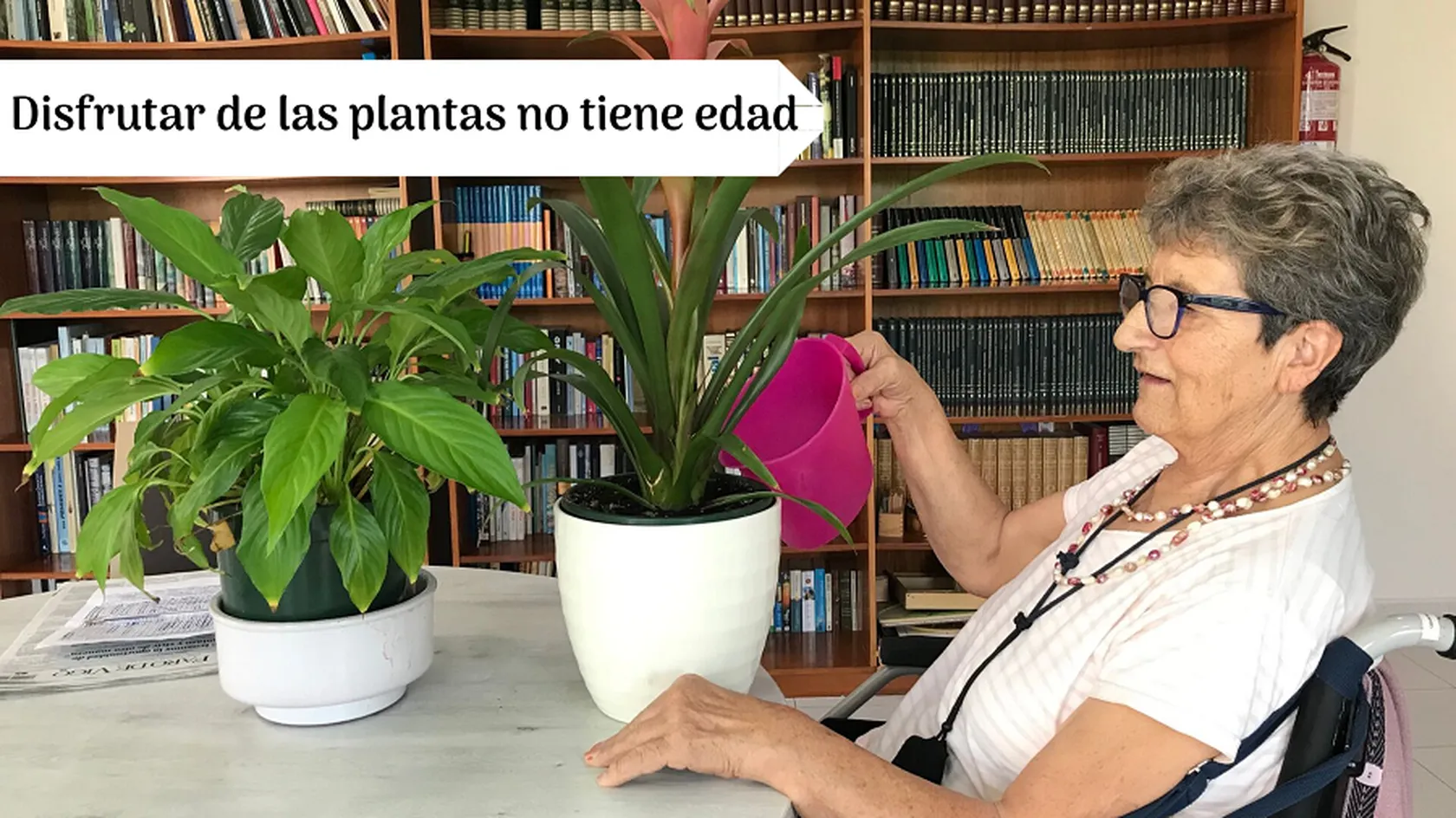 Disfrutar-de-las-plantas-no-tiene-edad-DomusVi-Ribadumia-actividad-ordinaria-septiembre-2019-a.png