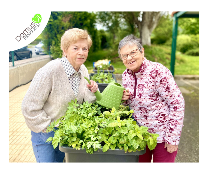 15052024181342SSS_DomusVi Ribadumia Horta (1).png