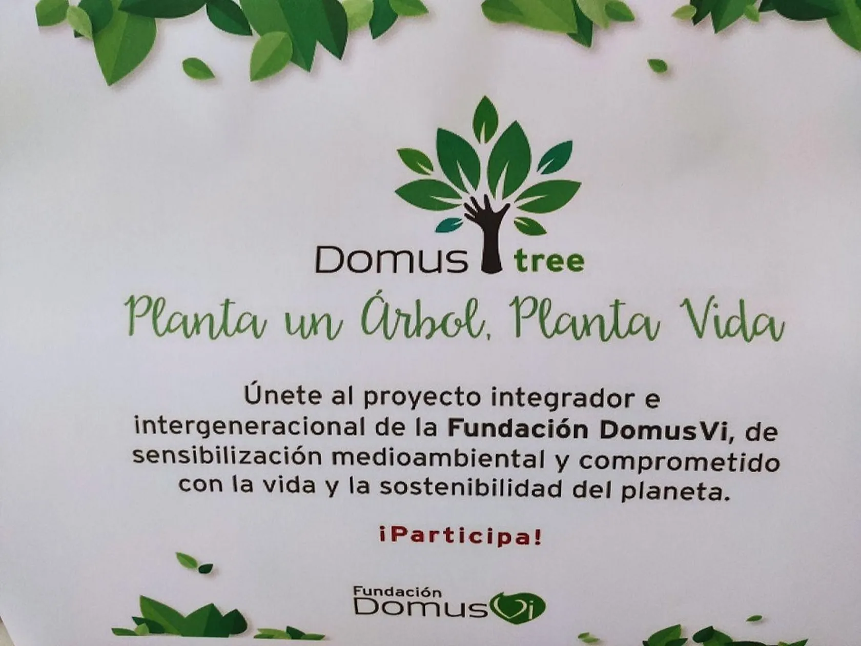 DomusTree-13.jpg