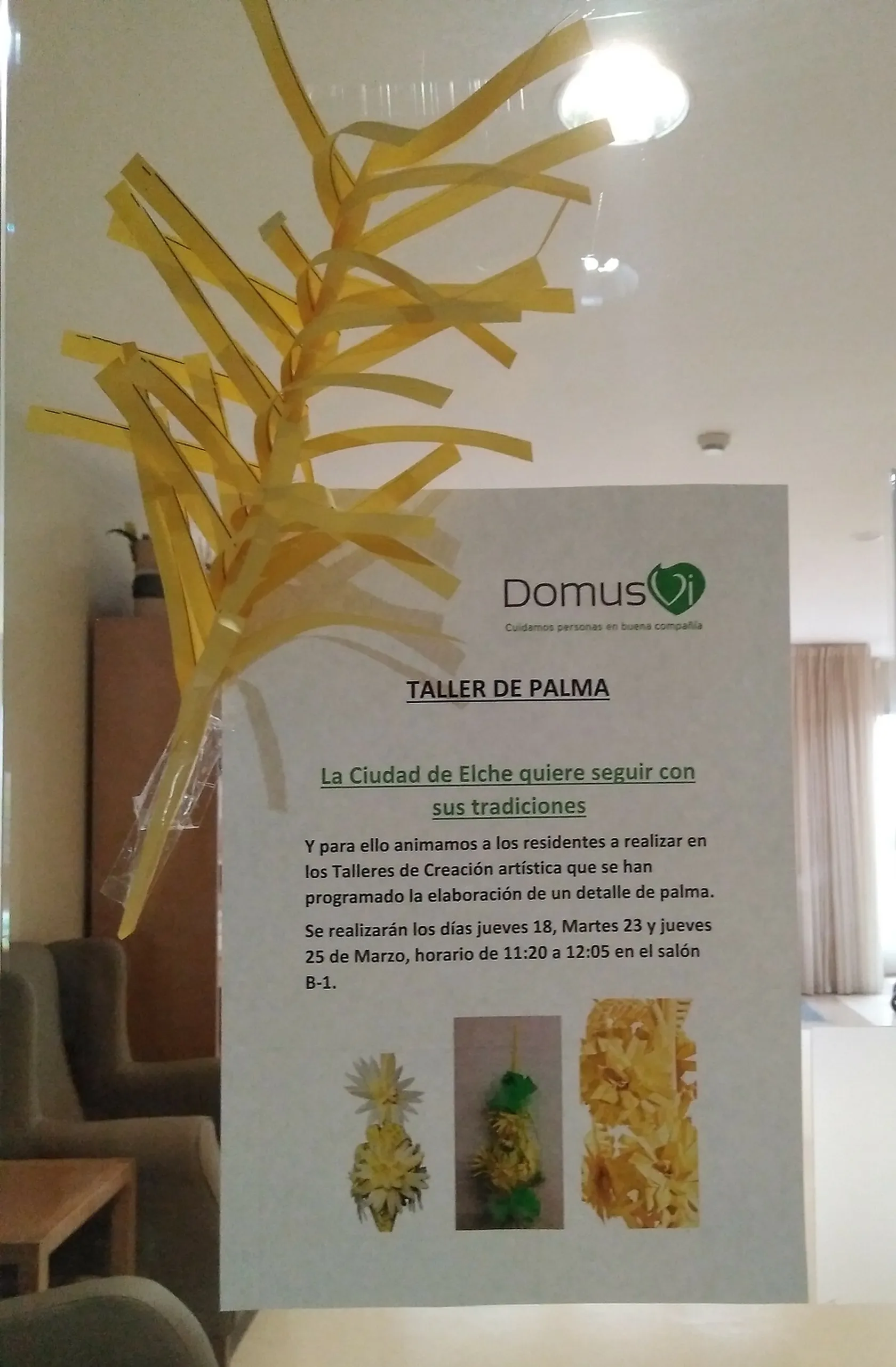 Palma-blanca20.jpg