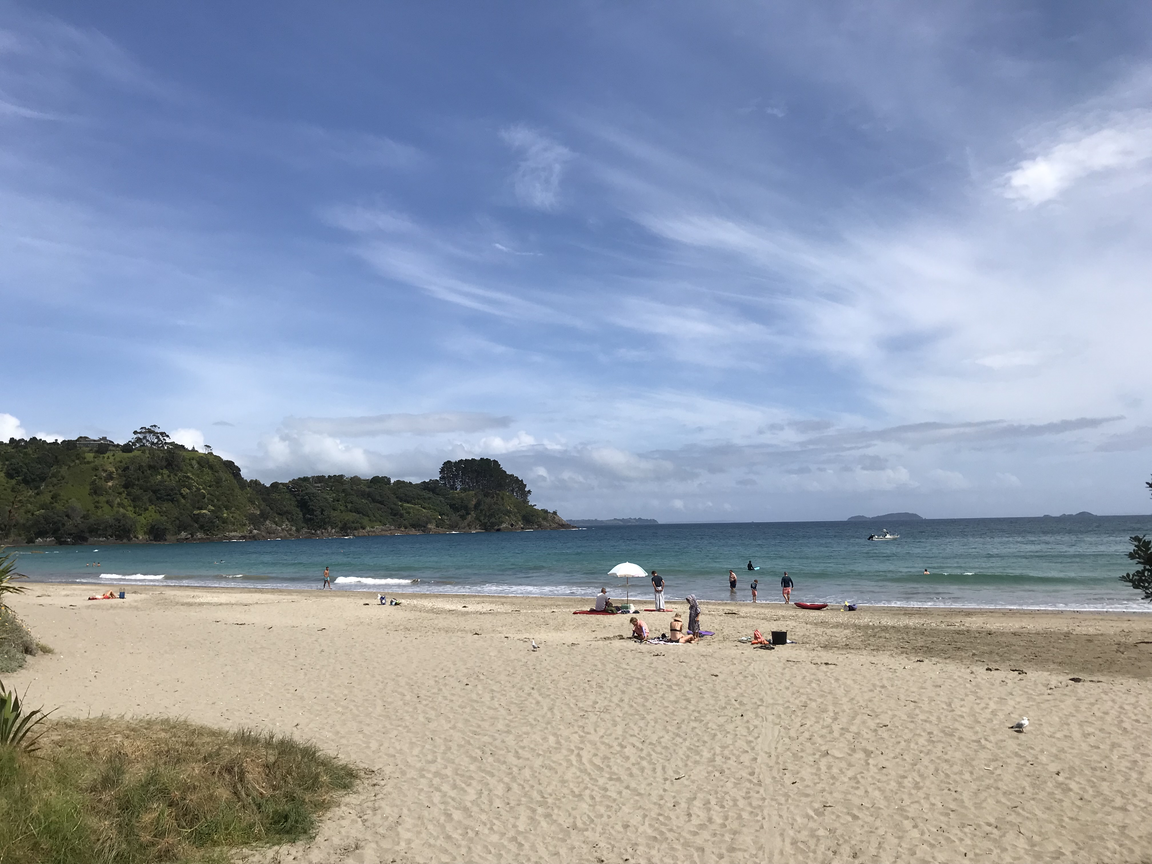 Palm Beach Waiheke Island