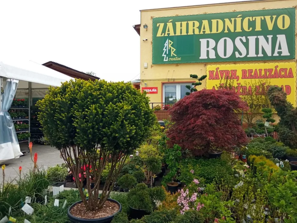 zahradnictvo-rosina