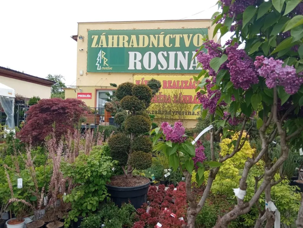 zahradnictvo – fotografia 2