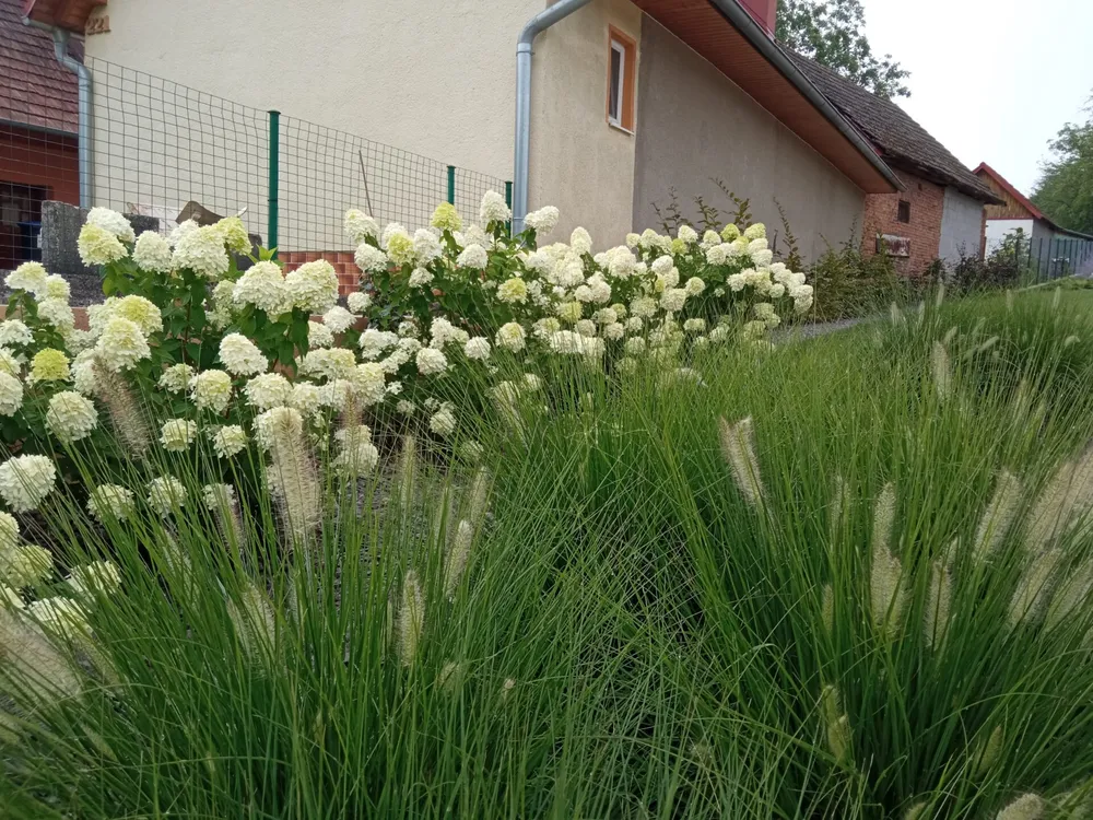 Záhrada Soblahov – Soblahov, fotografia 30