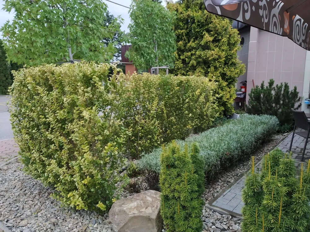 Gimax Sisi Gardens Púchov – Púchov, fotografia 5