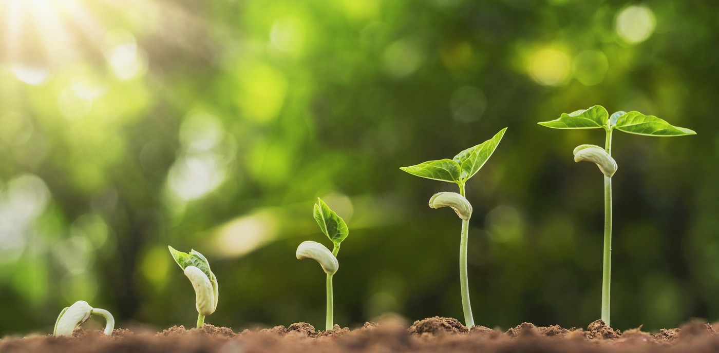 craftworks Scaling Sustainable Impact