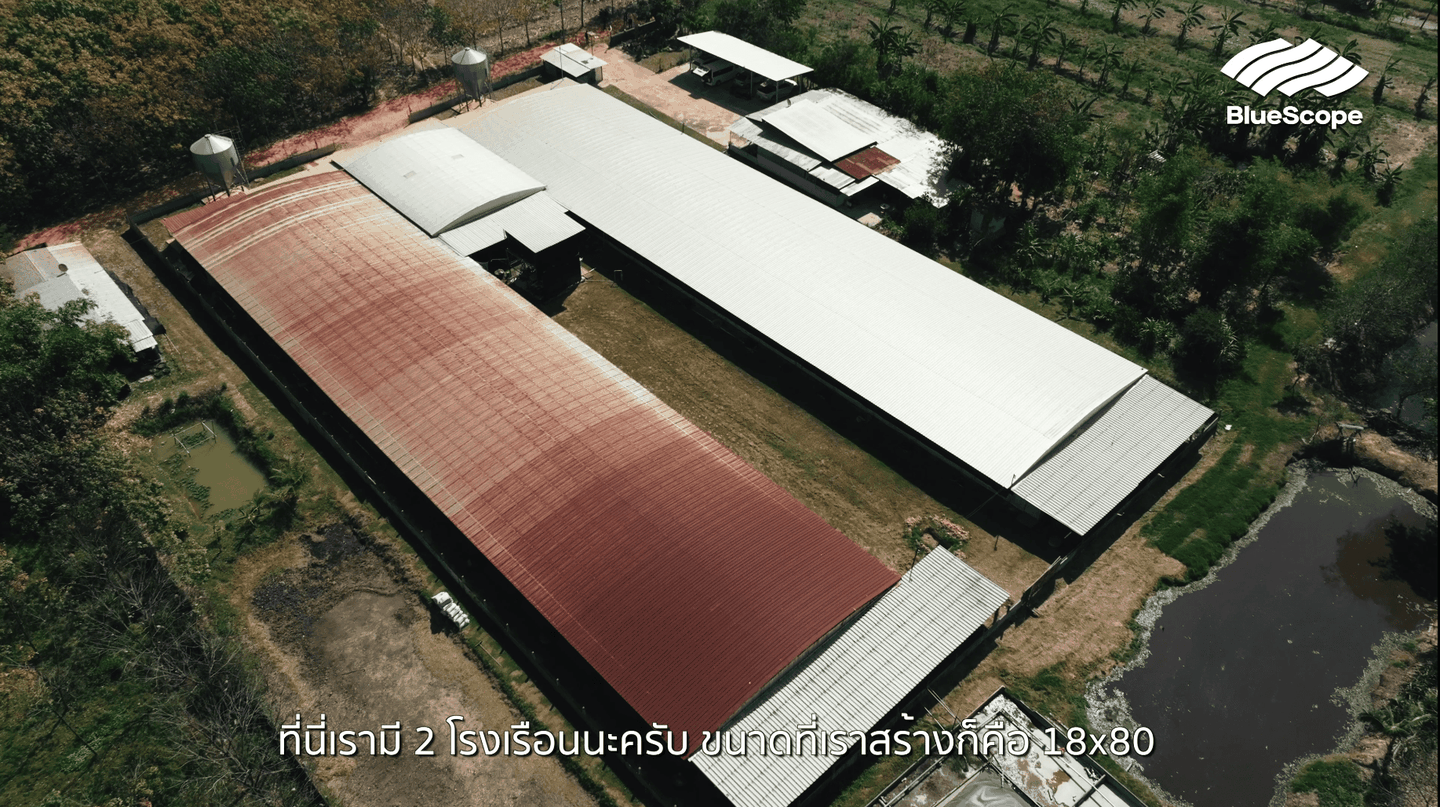 "ทำไมฟาร์มหมูถึงต้องการวัสดุที่แตกต่าง?"