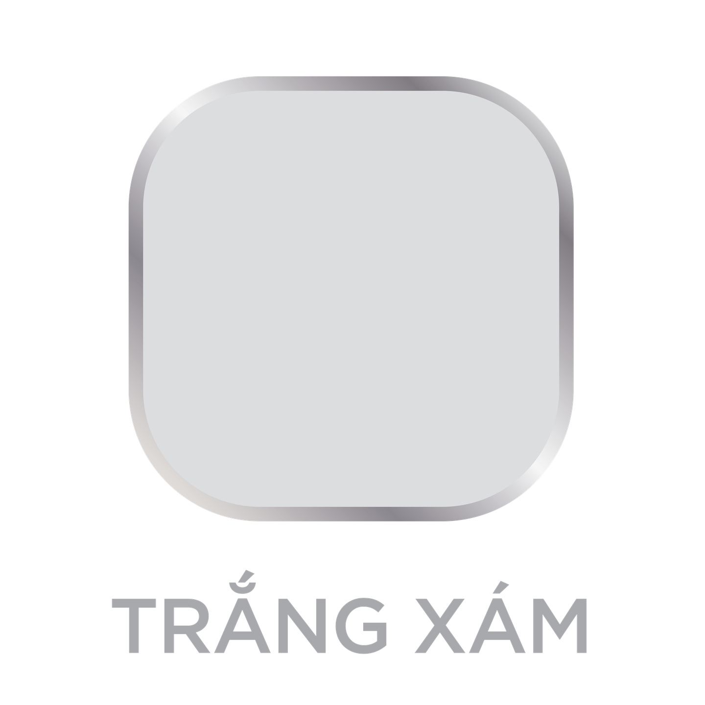 84673363024918