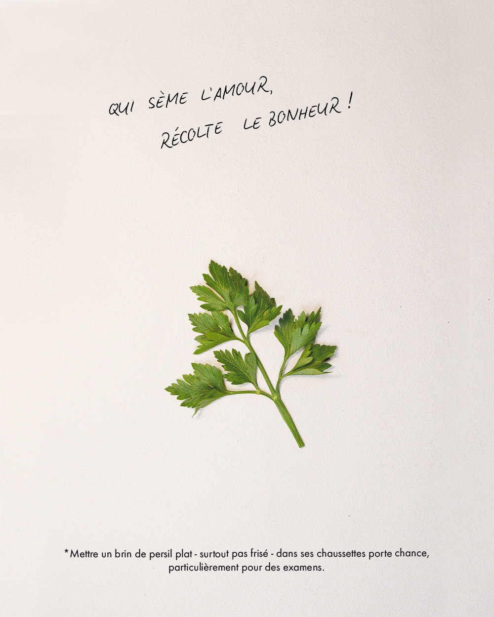 LOOKBOOK BONHEUR PERSIL DESK