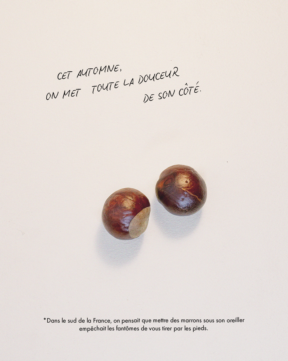 LOOKBOOK BONHEUR MARRONS DESK