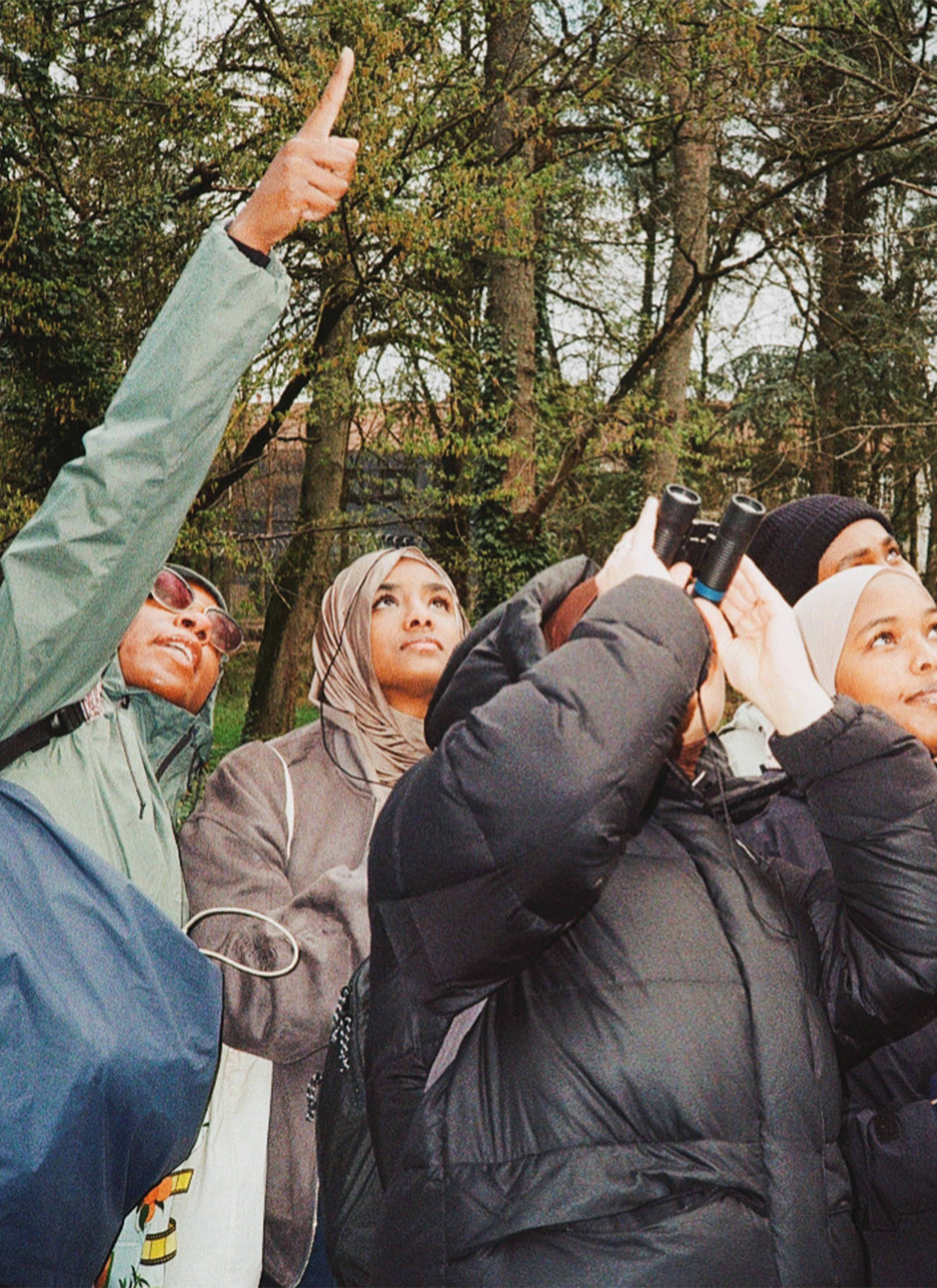 People observing birds with binoculars in a wooded area. One person points upwards, while others look intently at the sky.