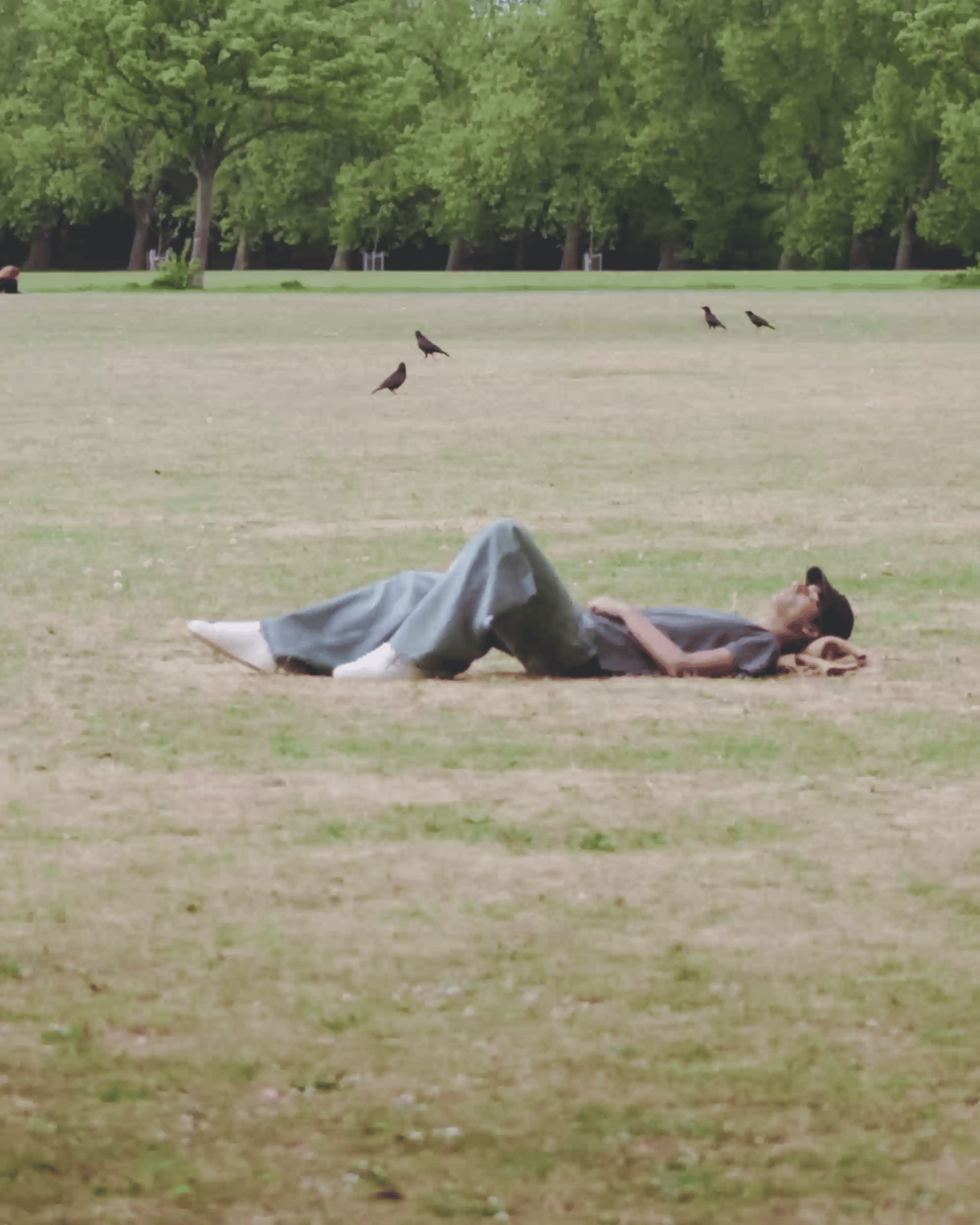 Person relaxing on a blanket in a park, surrounded by green trees and a few birds in the distance under a clear sky.