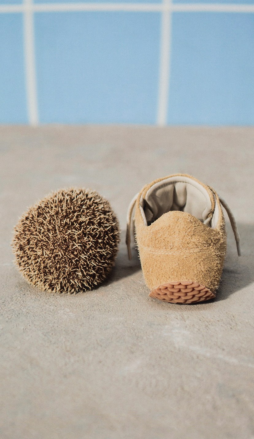 A hedgehog and a small suede shoe placed side by side on a concrete surface with a blue tiled wall in the background.