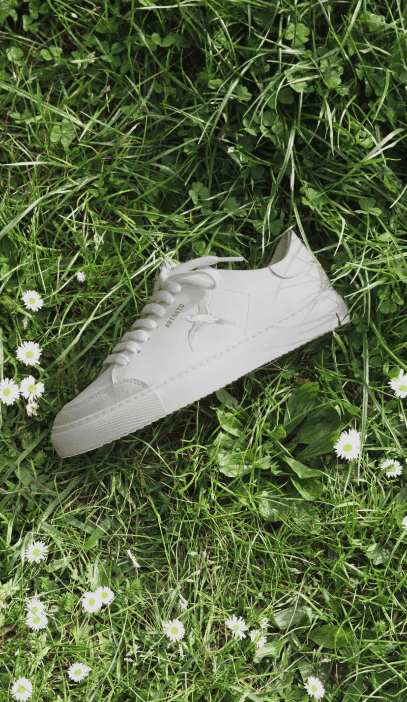 A white sneaker with laces lies on a grassy field adorned with small white daisies.