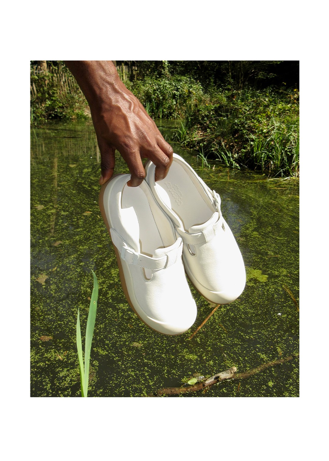 A hand holding a pair of white slip-on shoes over a lush, green pond with plants in the background.