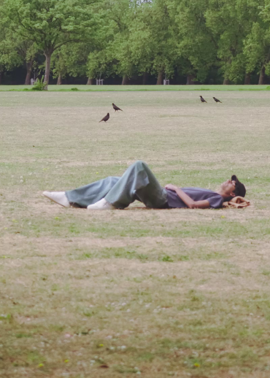 Person lying on the grass in a park, wearing a cap and jeans, surrounded by trees and a few birds in the background.