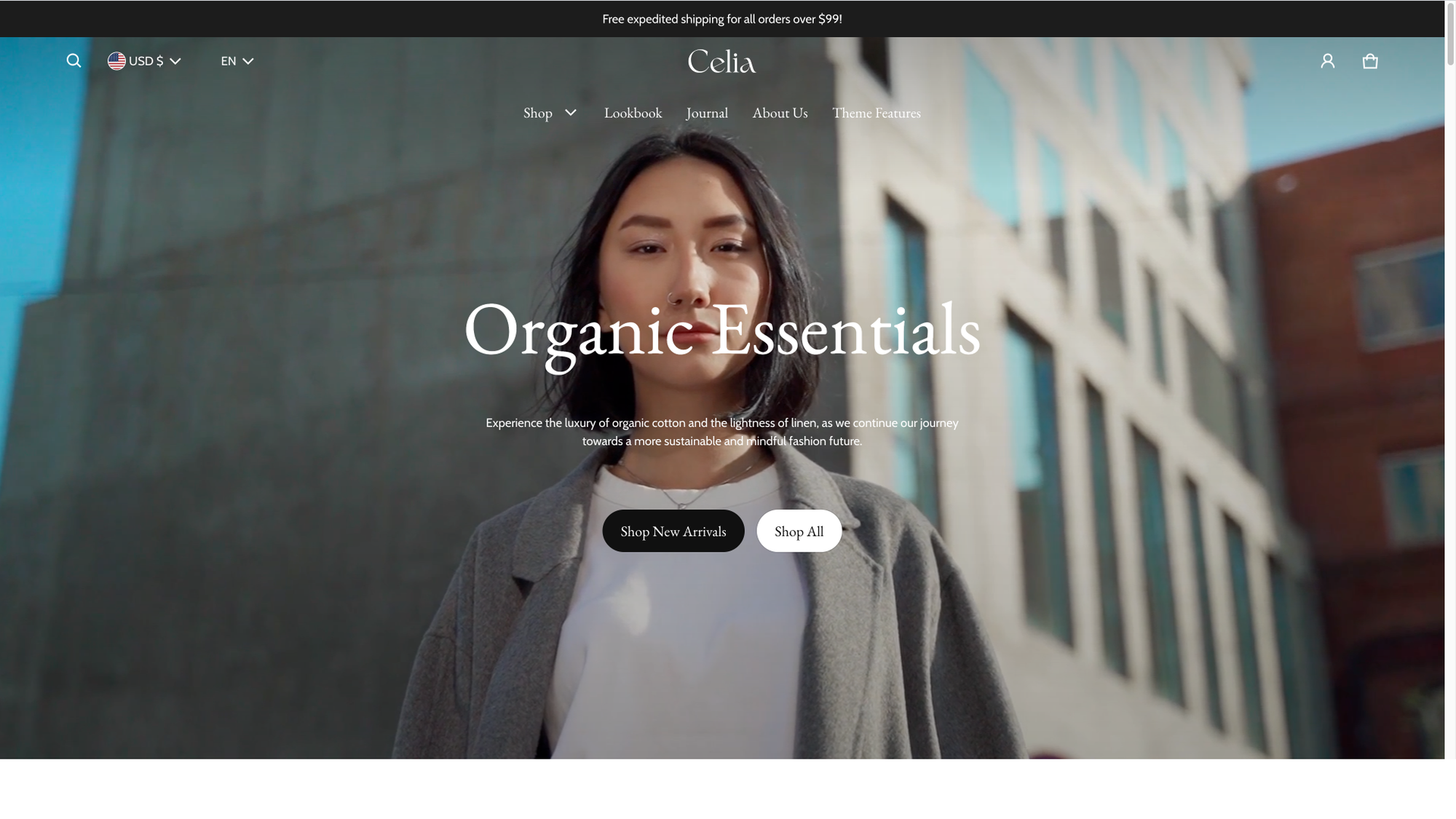 shopify theme store