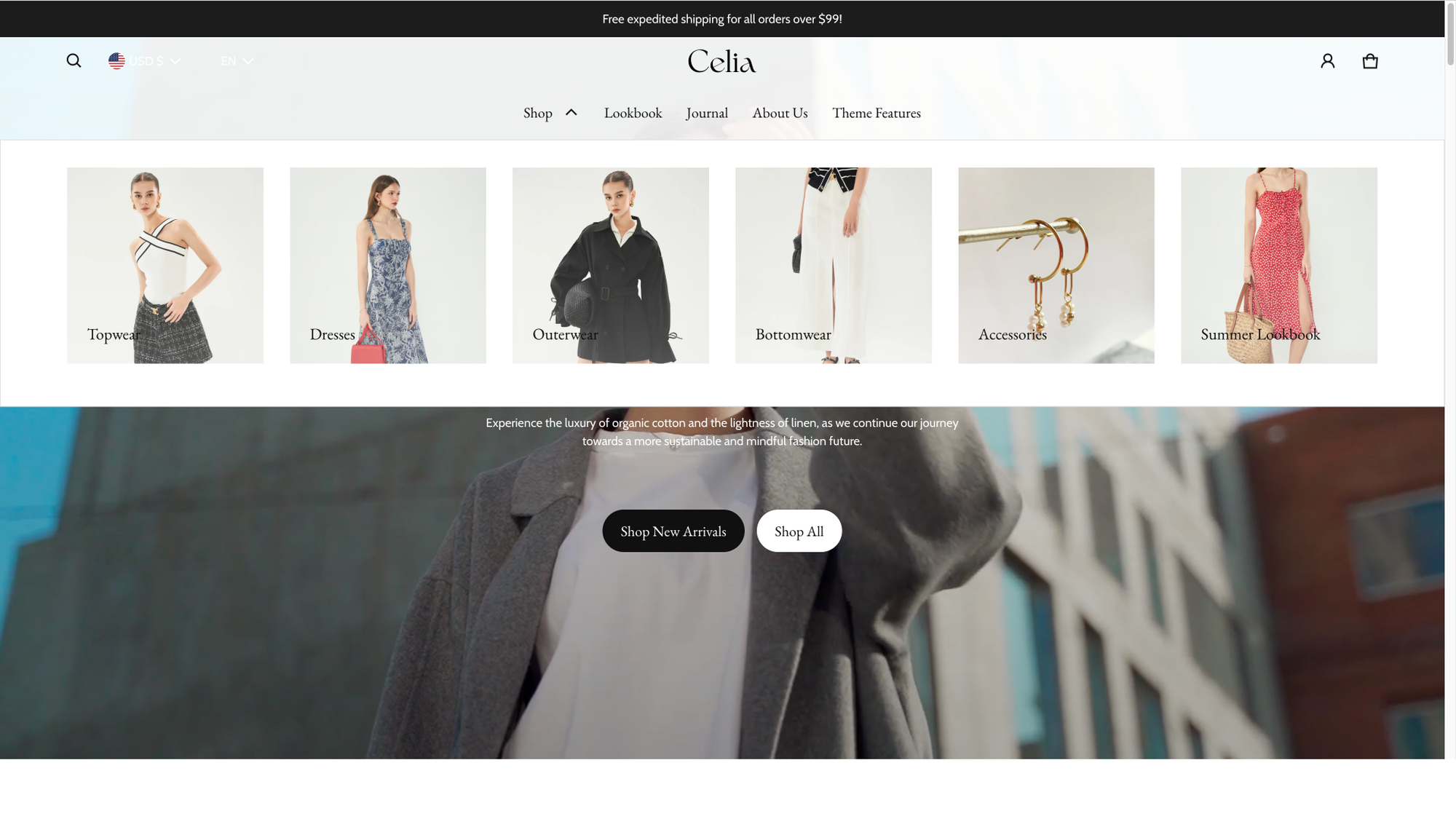 premium shopify theme - fashion