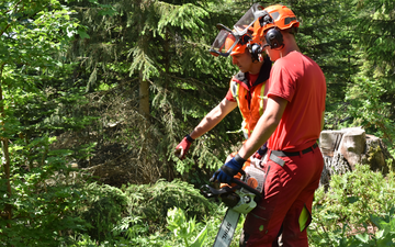 Deux forestiers-bûcherons en discussion dans une forêt. Ils observent quelque chose en dehors du cadre de l'image. L'un deux tient une tronçonneuse en main.