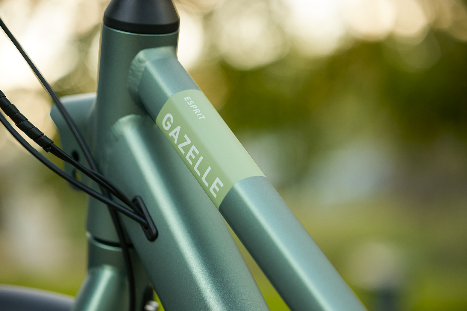 E-Bike-Inspektion: Kosten, wie oft & was wird gemacht? | Gazelle