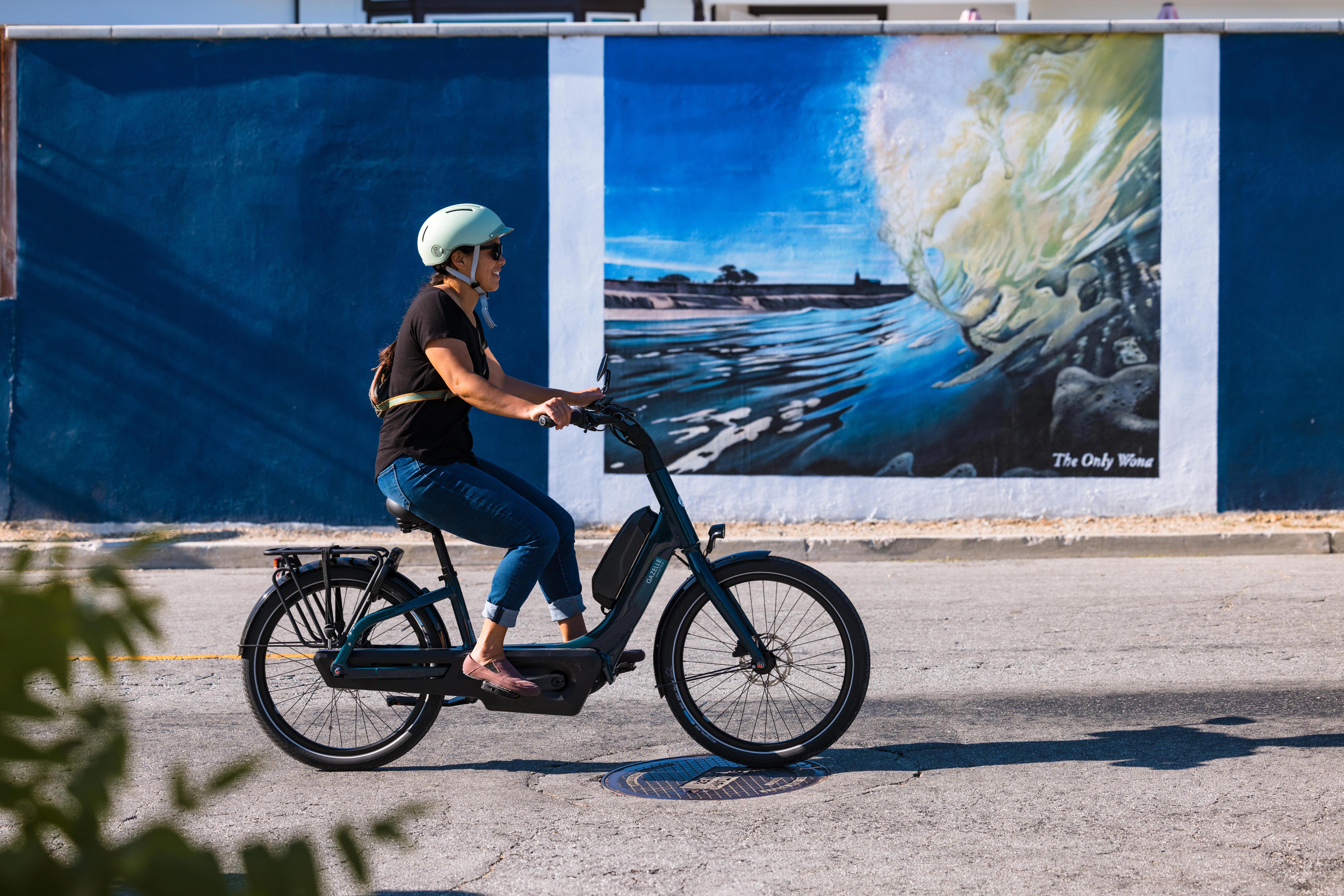 Gazelle Easyflow | Comfortable Low-Step E-Bike