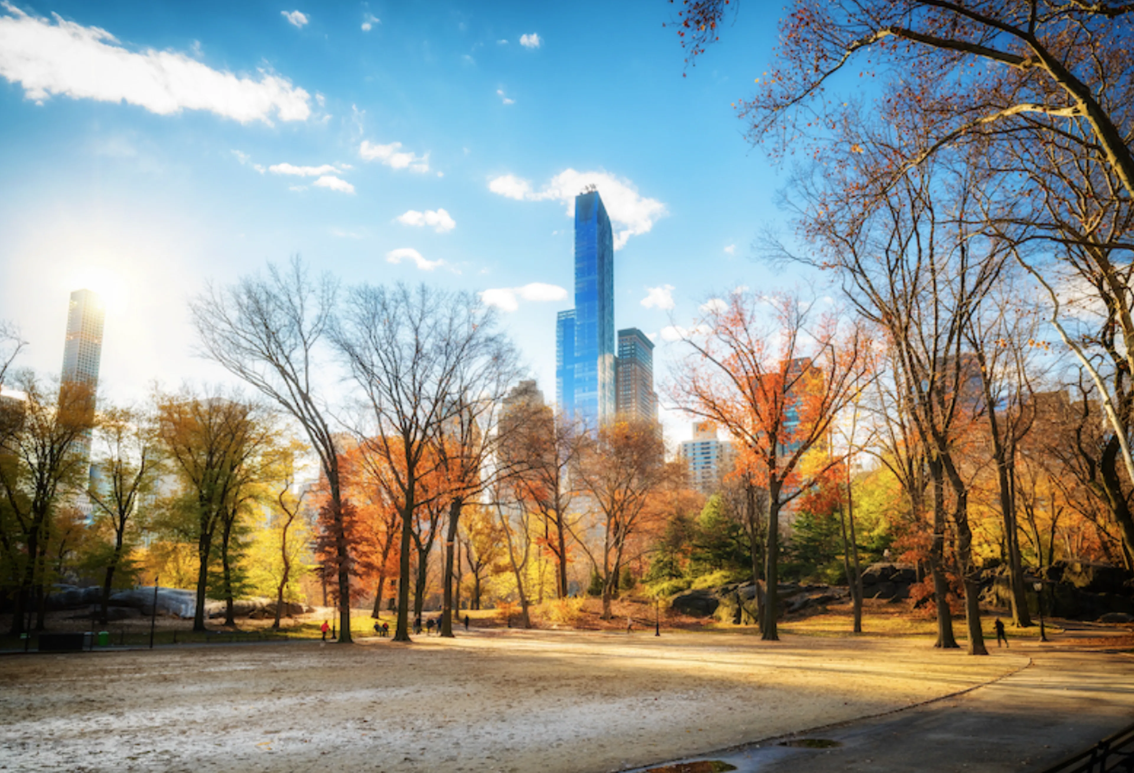 Sunlit park with autumn trees and a city skyline in the background, featuring a tall skyscraper under a clear blue sky.