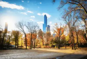 Central Park in autumn with colorful trees, a clear blue sky, and skyscrapers in the background.