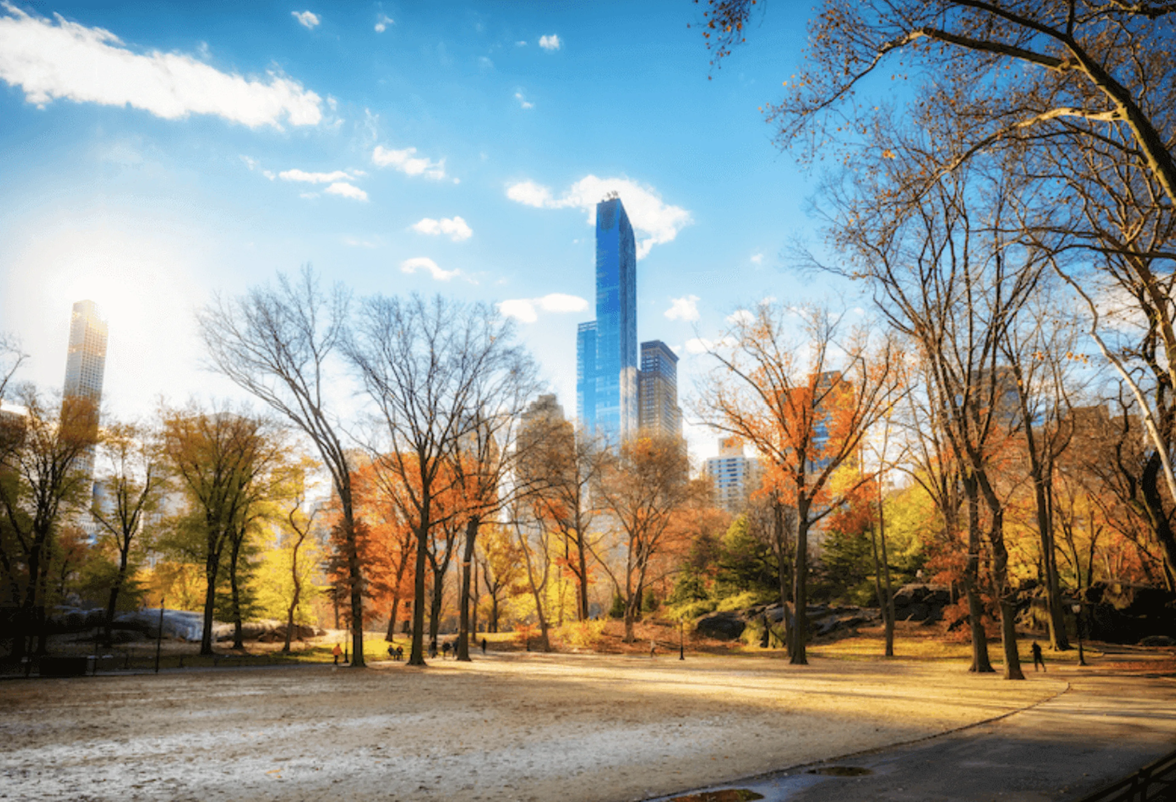 Central Park in autumn with colorful trees, a clear blue sky, and skyscrapers in the background.