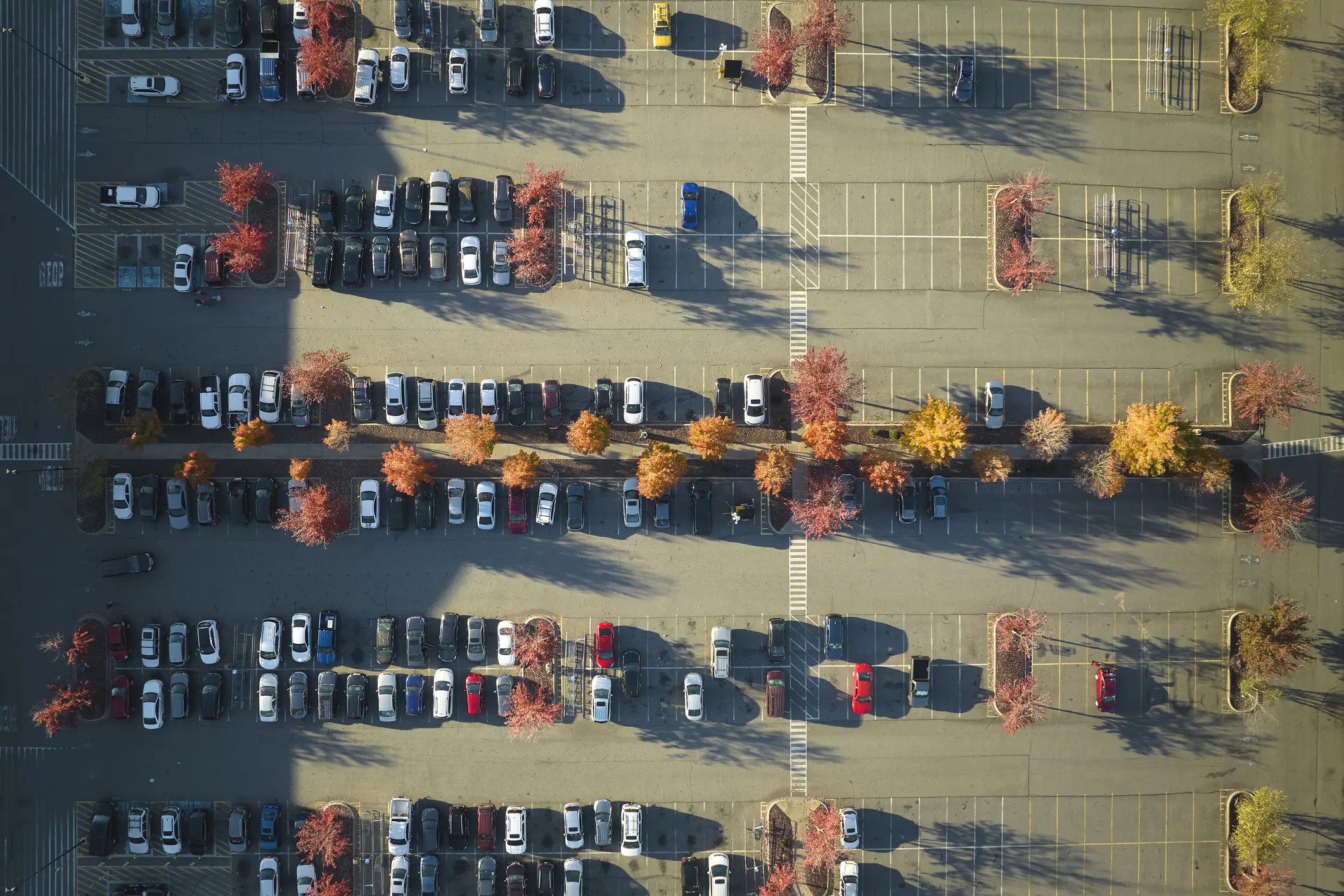 Aerial view of a parking lot with rows of parked cars and autumn trees casting long shadows in the sunlight.