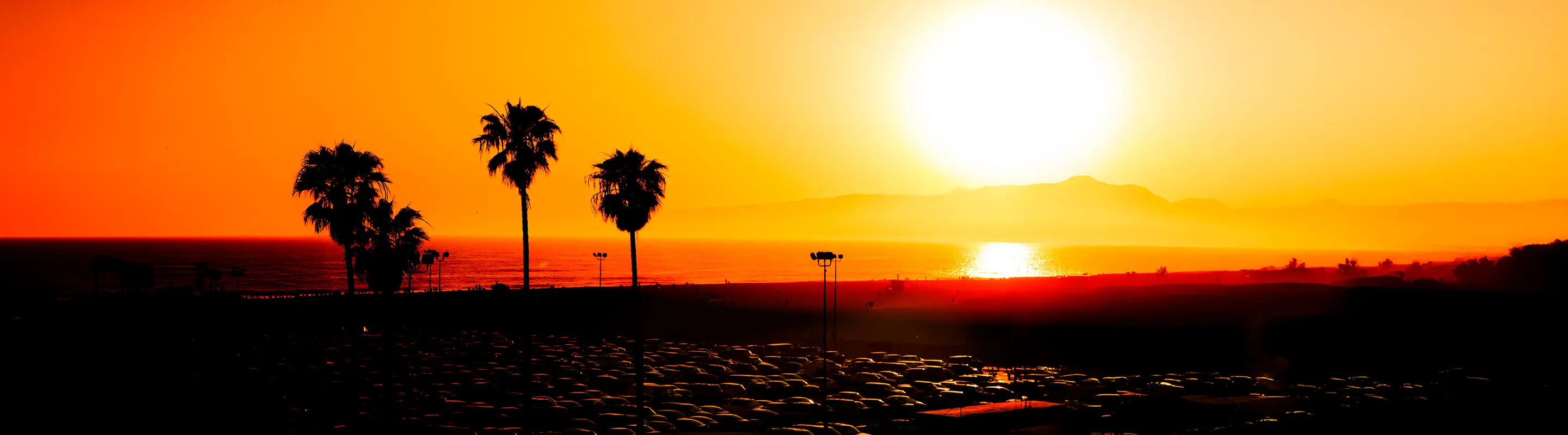 Sunset over a beach, with palm trees silhouetted against an orange sky and a glowing sun reflecting on the ocean.
