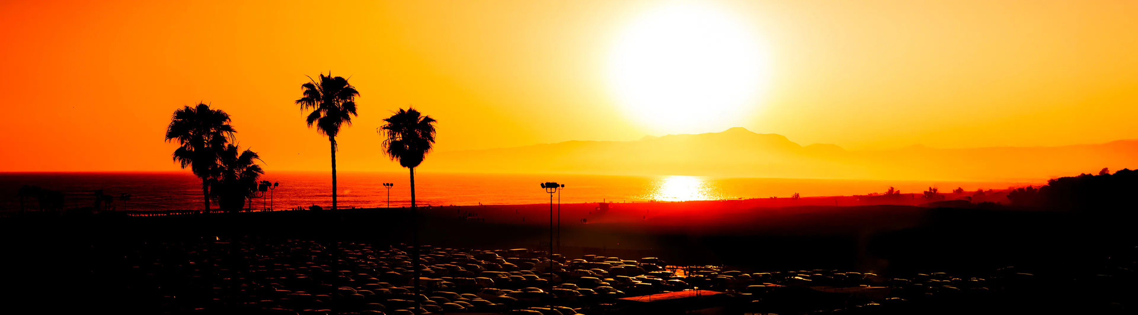 Sunset over the ocean with silhouettes of palm trees in the foreground and a bright orange sky reflected on the water.