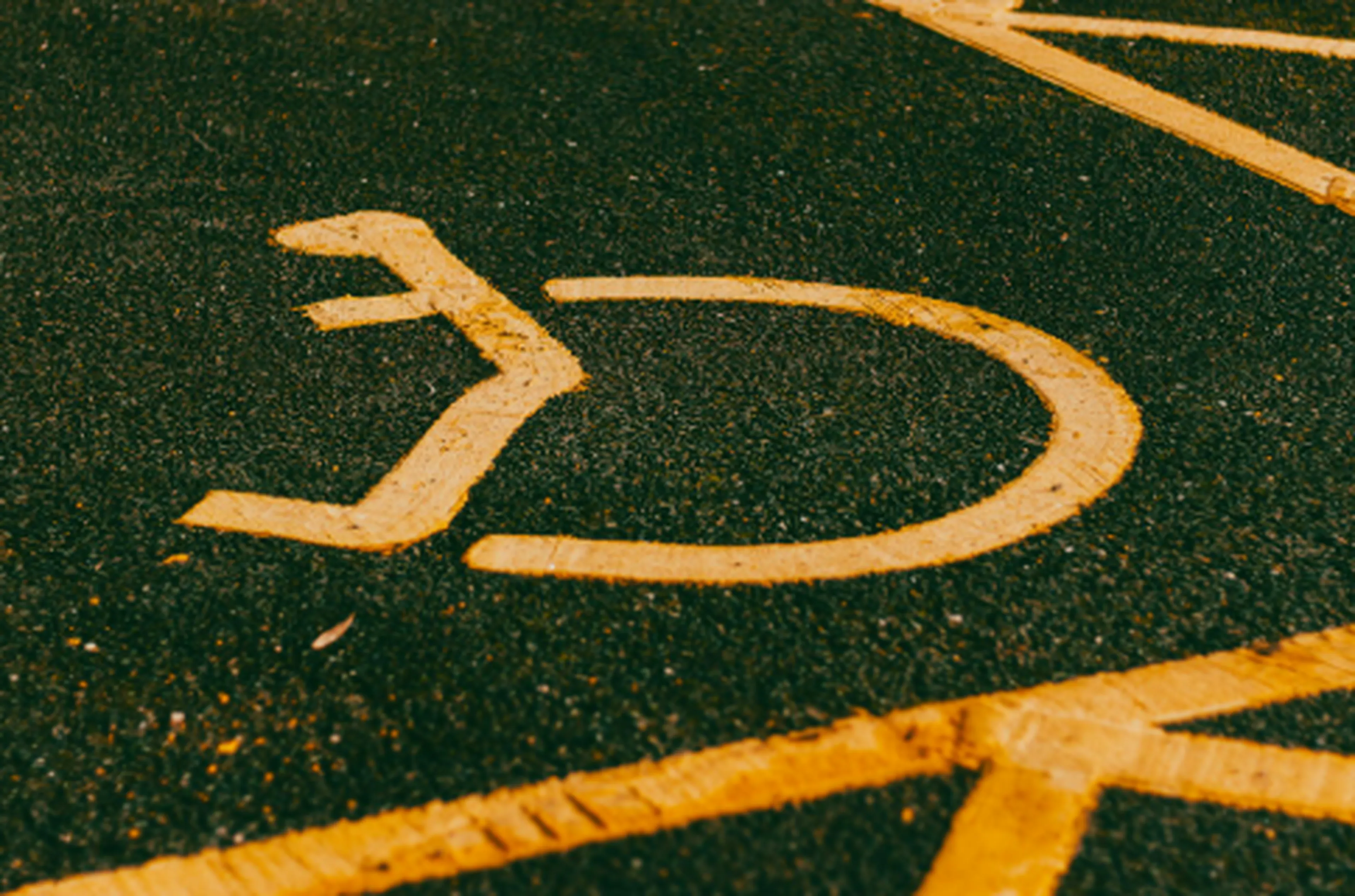 Disabled veterans