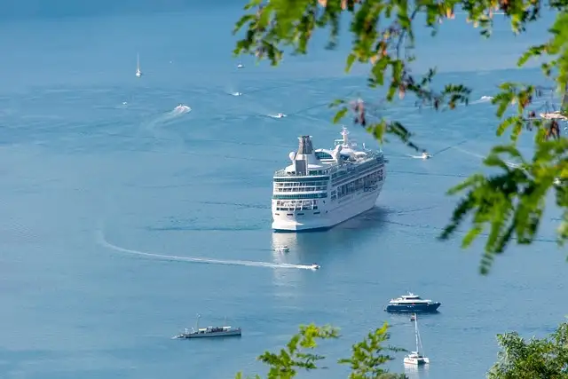 Cruise ship sailing on a calm blue sea surrounded by smaller boats, framed by green leaves in the foreground.