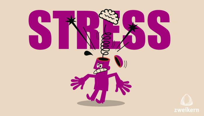 zweikern Stress und Konflikte