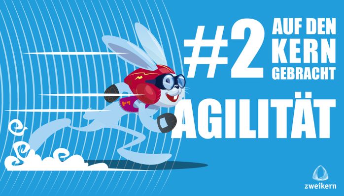 auf-den-kern-gebracht-agilität-zweikern