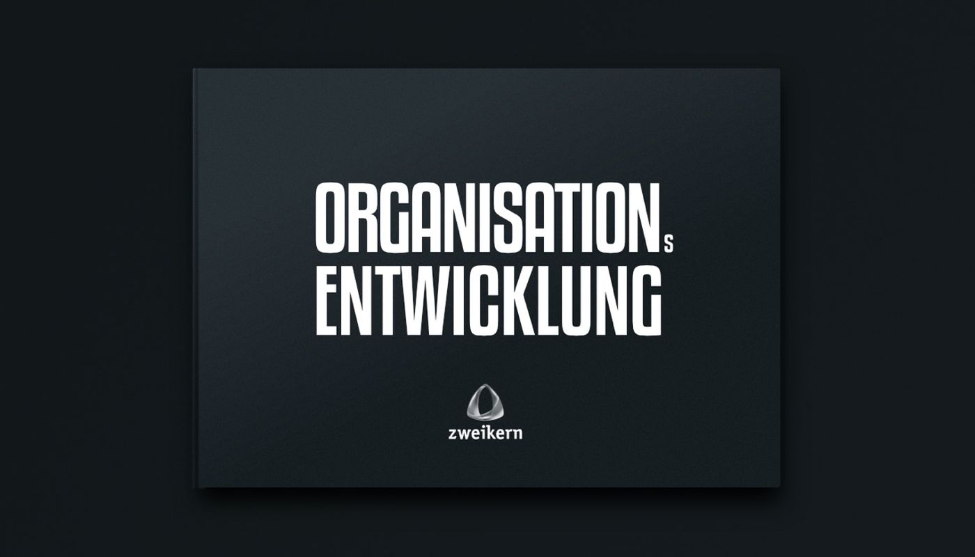 zweikern-organisationsentwicklung