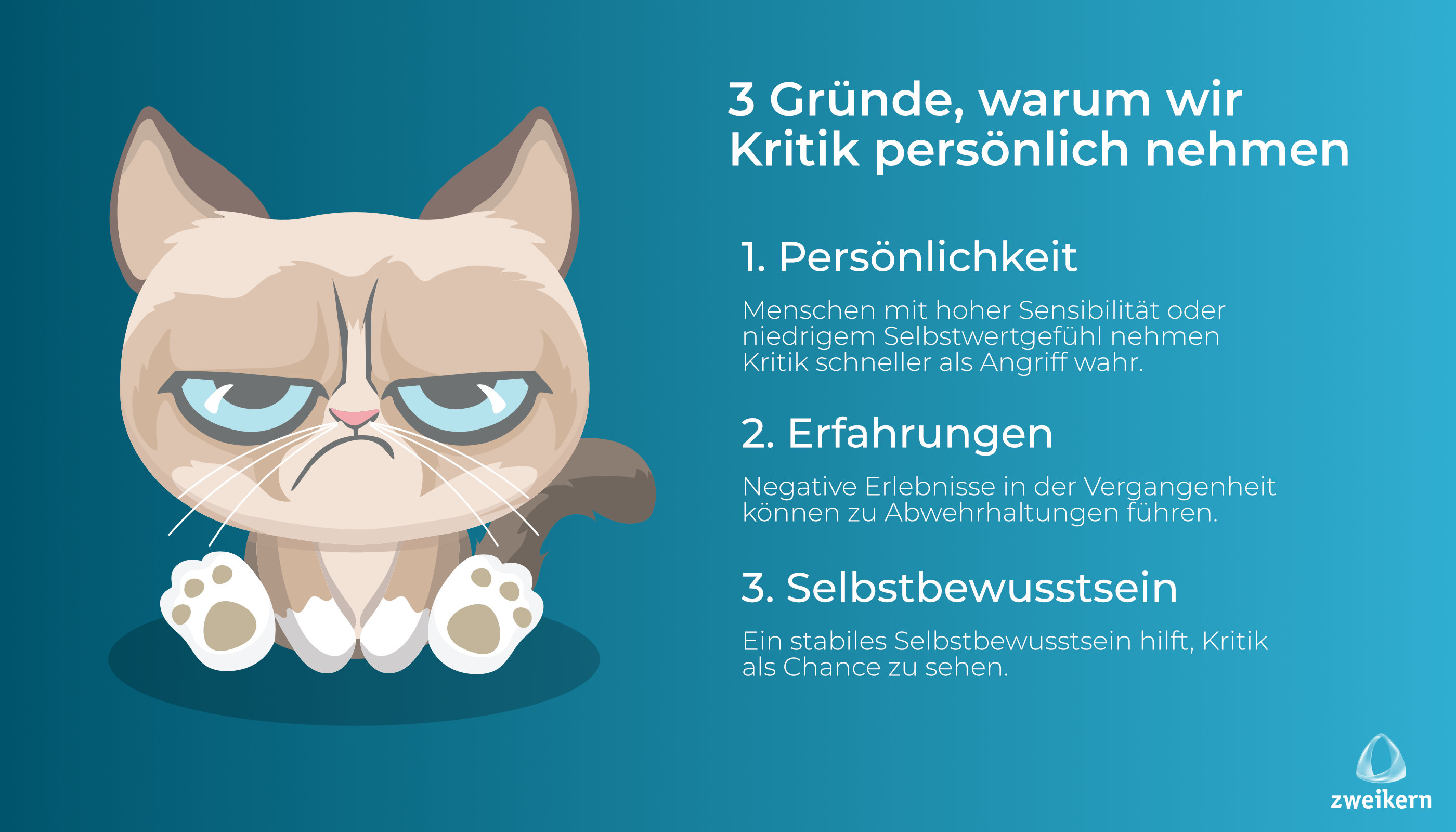 Zusammenfassung: Kritik persönlich nehmen