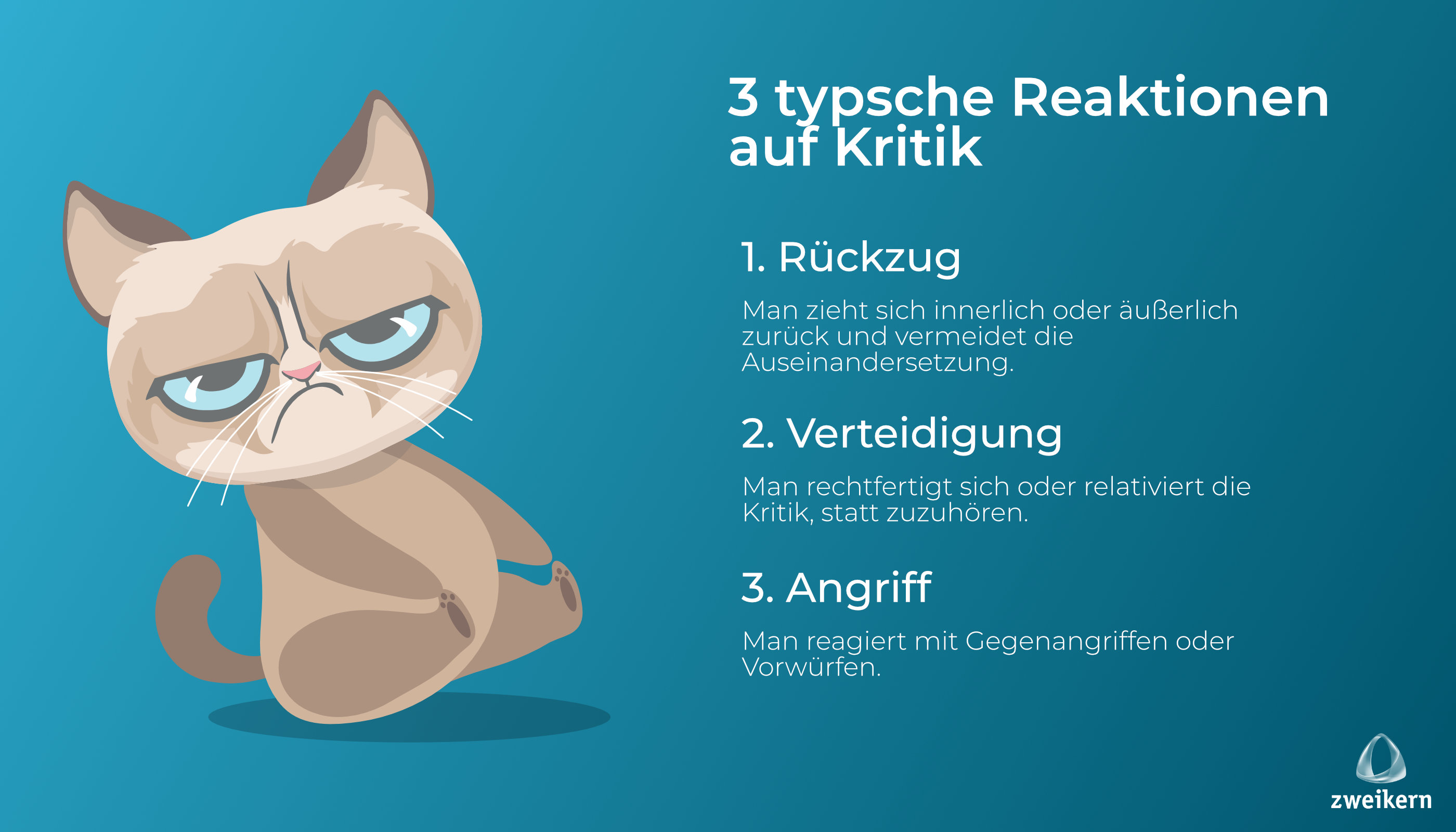 Zusammenfassung der typischen Reaktionen auf Kritik