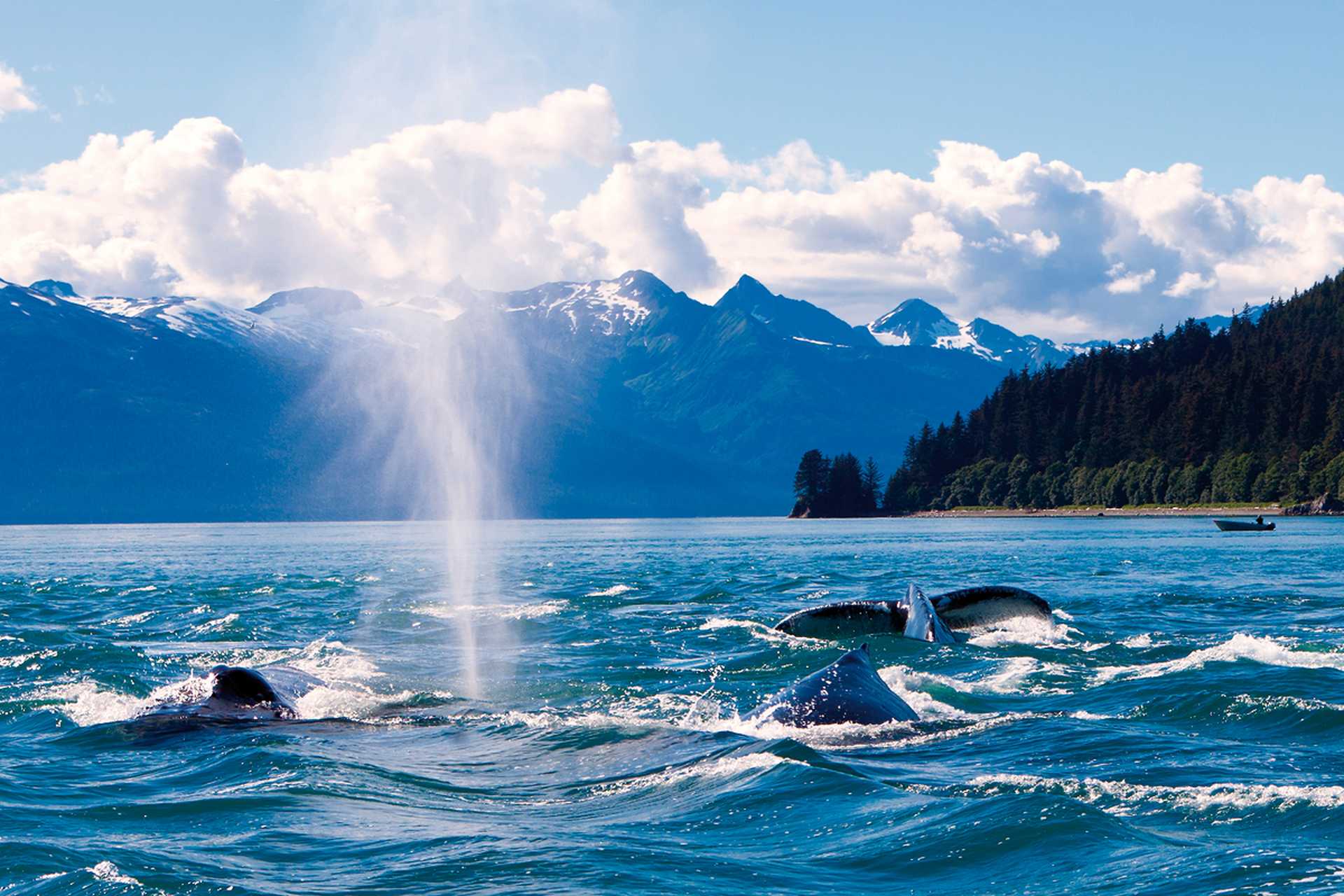 Juneau, Alaska