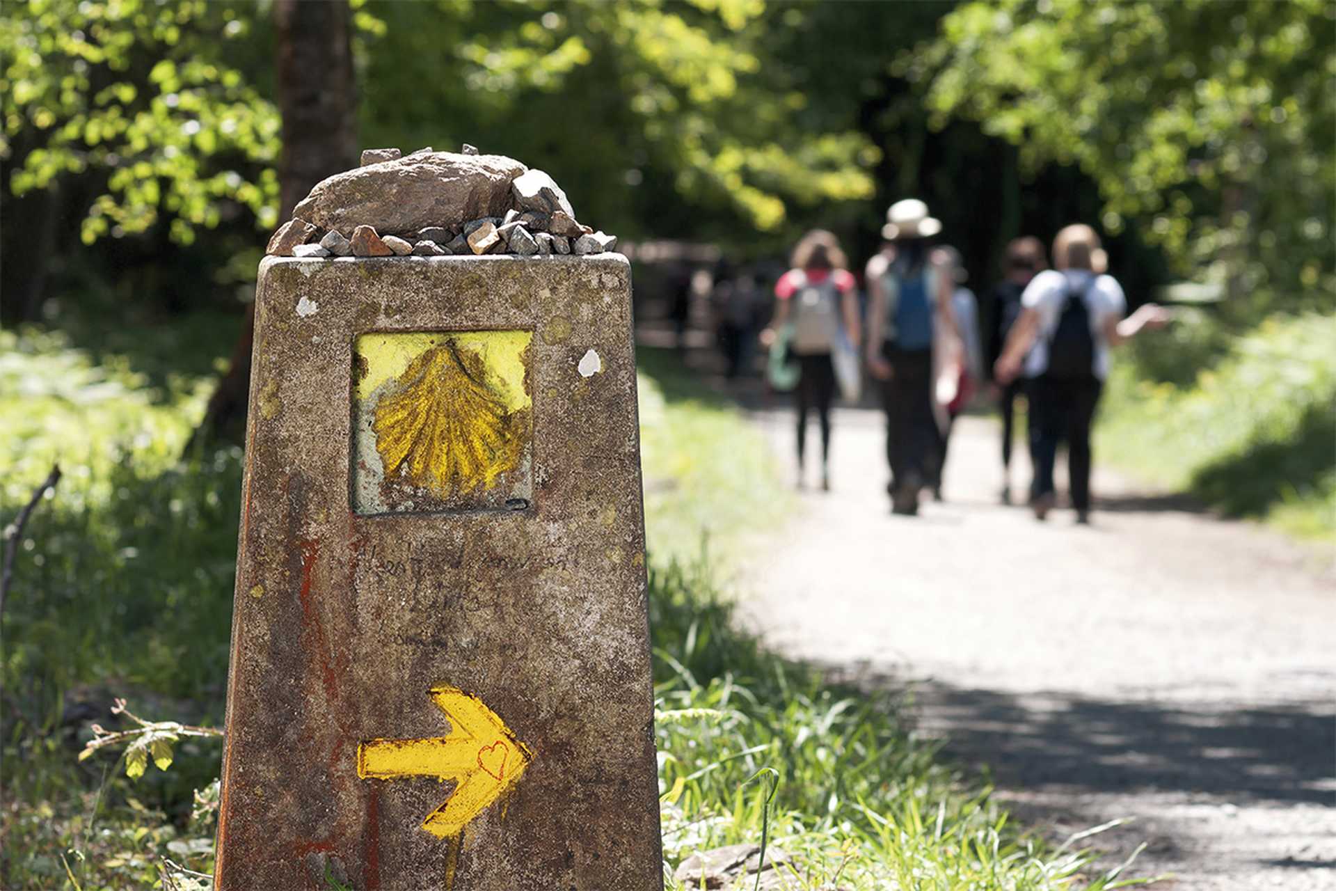 Camino de Santiago