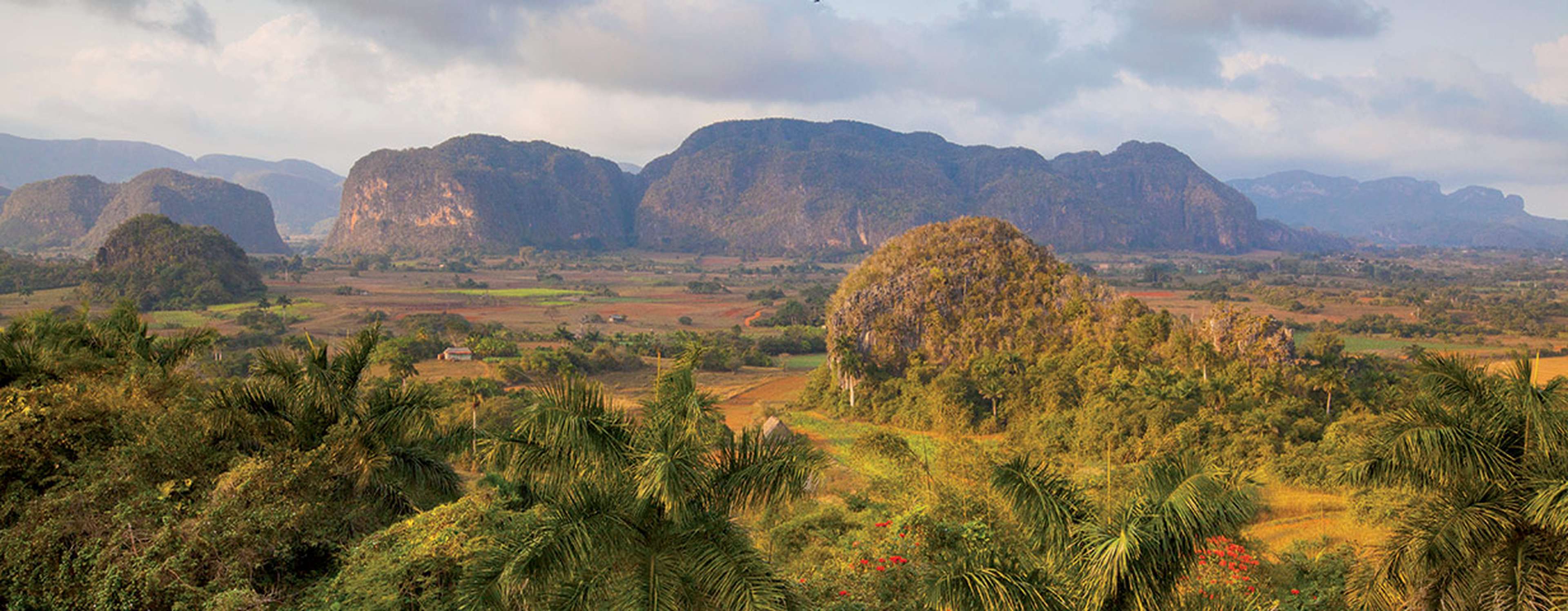 Cuba Holidays 2025/2026 | Saga Holidays