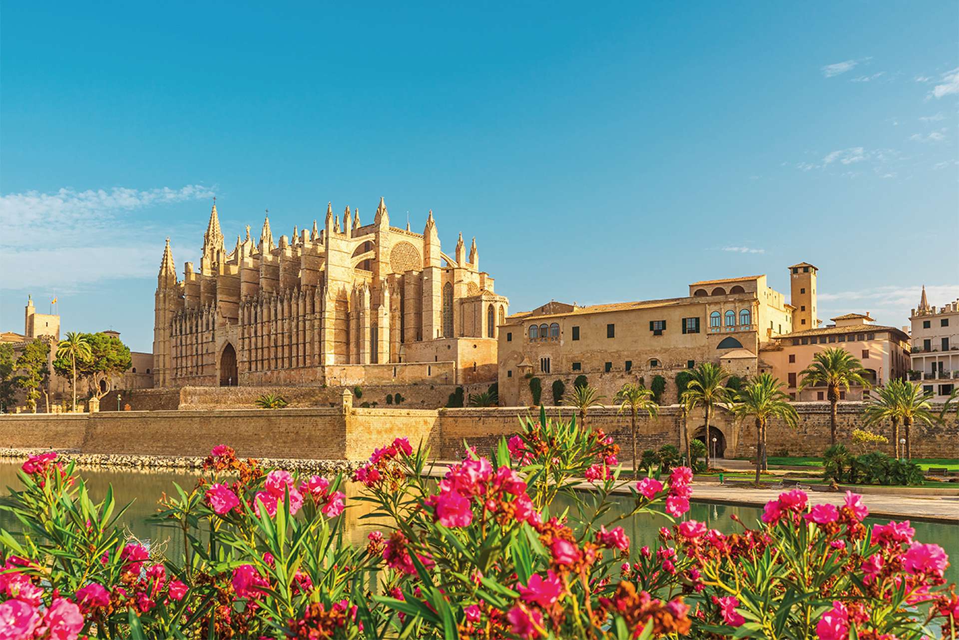 Palma Cathedral